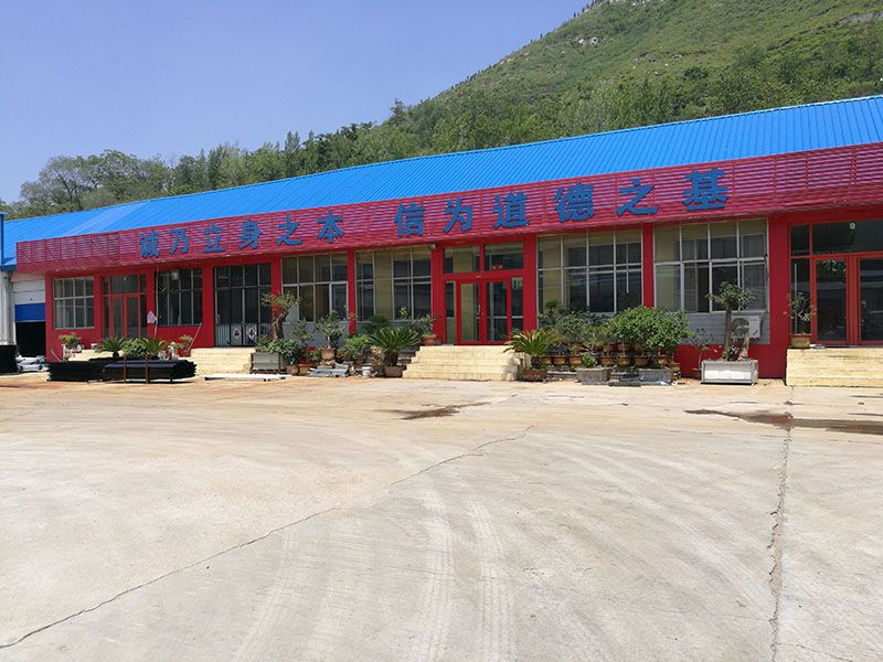 公司實力